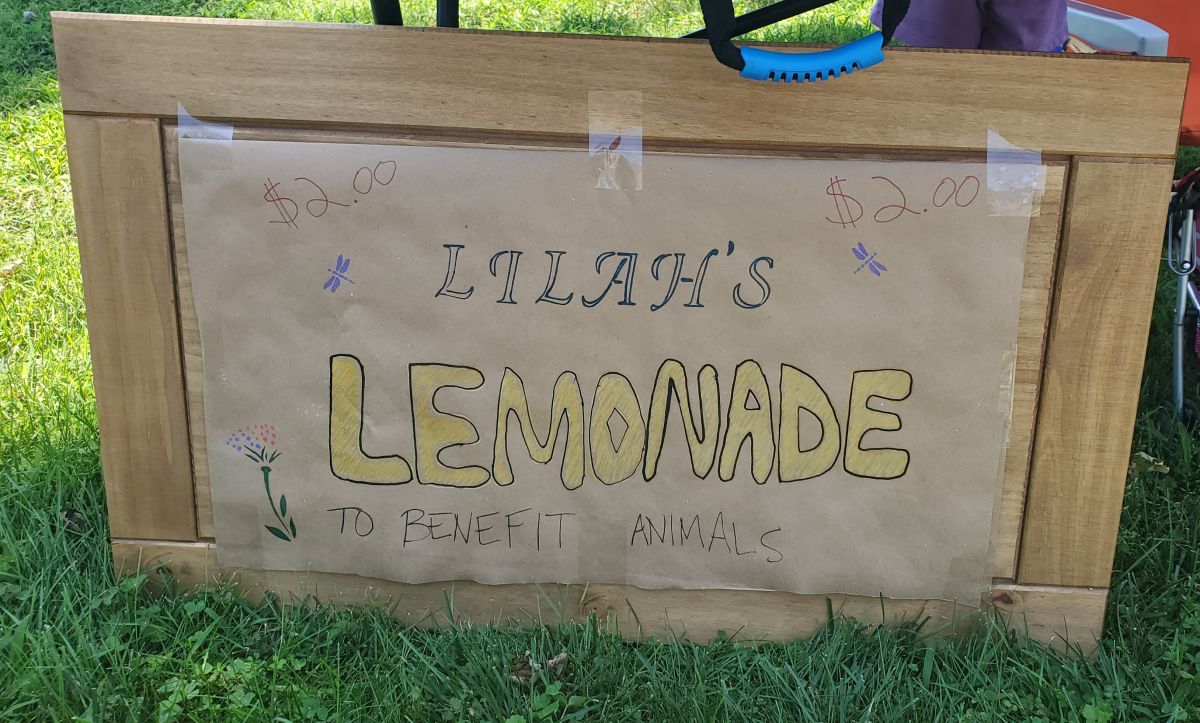 Lilah's Lemonade Sign